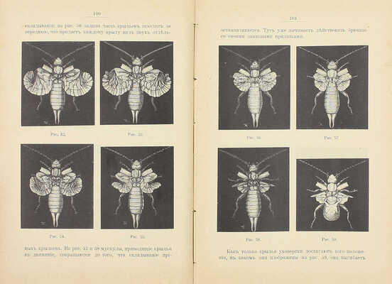 Аллен Ч.Г. В тайниках природы. Борьба, защита, работа и сон в мире животных и растений / Пер. с англ. М.П. Волошиновой. [СПб.]: Изд. О.Н. Поповой, 1902.